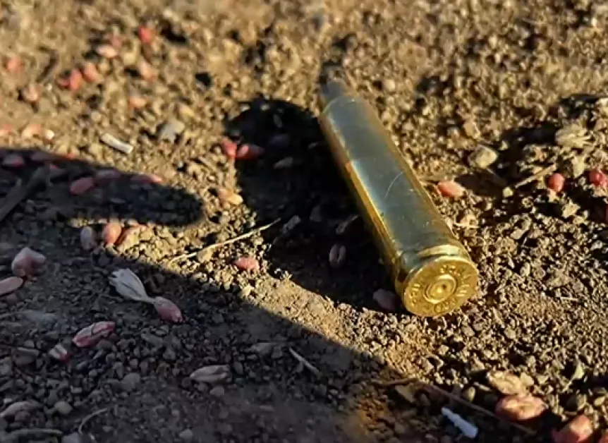 Застреляха куче, докато стопанката му го разхожда