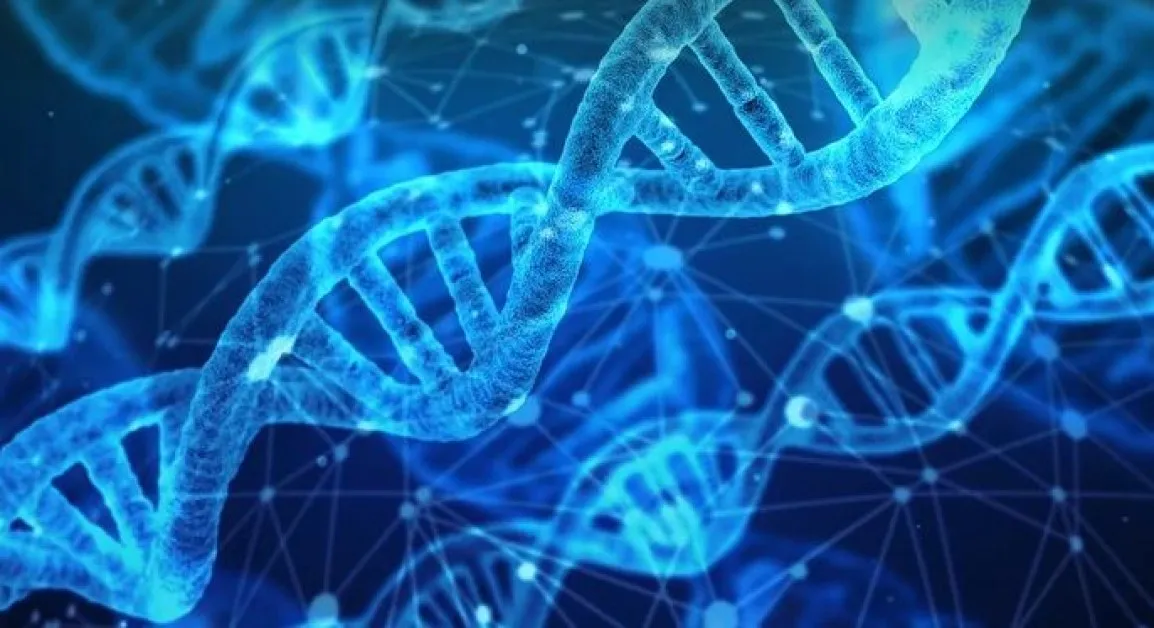 Почина нобеловият лауреат Джеймс Уотсън – откривателят на структурата на ДНК