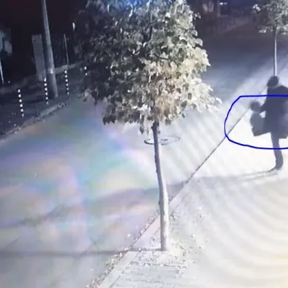 Дама алармира за нагла кокошкарска кражба в столичен вход Неизвестен