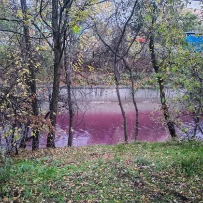 Необичайна гледка изненада жители на столичния квартал Слатина след като