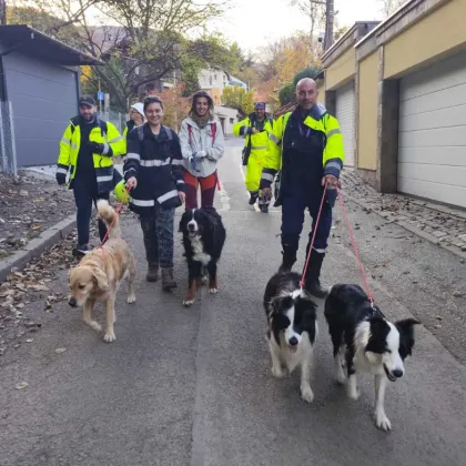 Същите спасители, открили преди дни изченала жена, сега търсят Стефани във Витоша