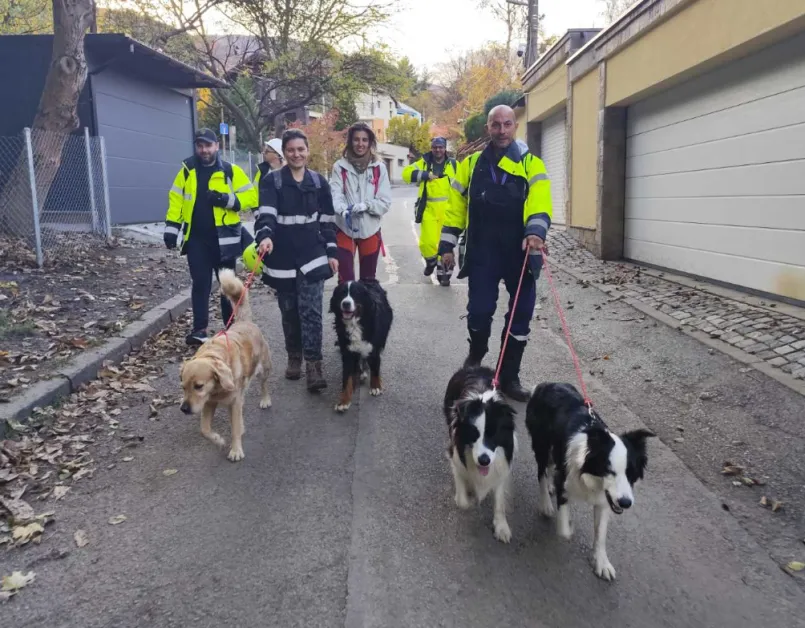 Същите спасители, открили преди дни изченала жена, сега търсят Стефани във Витоша