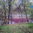 Реката в „Слатина" промени цвета си – хората питат: Кой е виновен? СНИМКИ