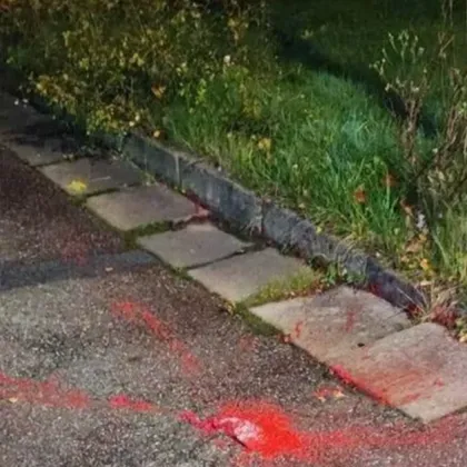 Неизвестен дрон напръска руска вила в Швеция с червена боя