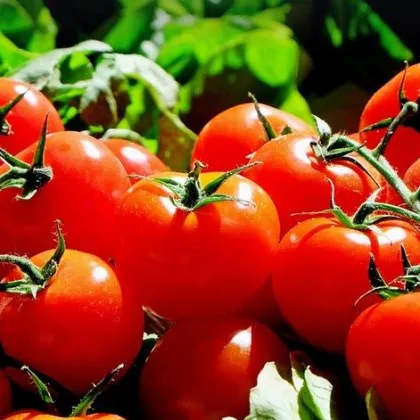 Основни хранителни продукти и плодове поскъпват през изминалата седмица докато