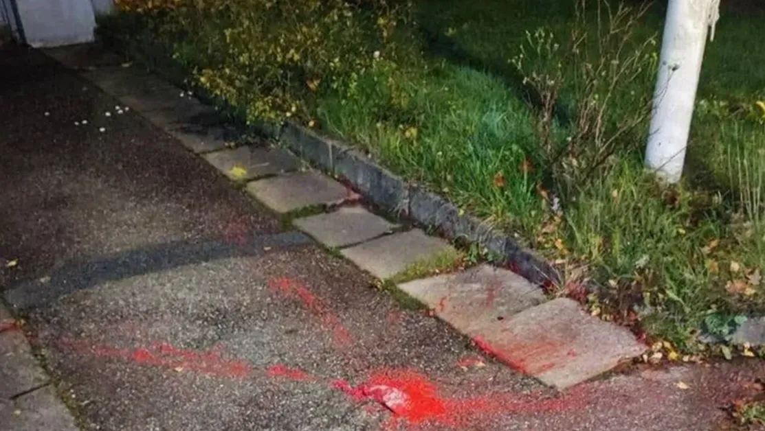 Неизвестен дрон напръска руска вила в Швеция с червена боя