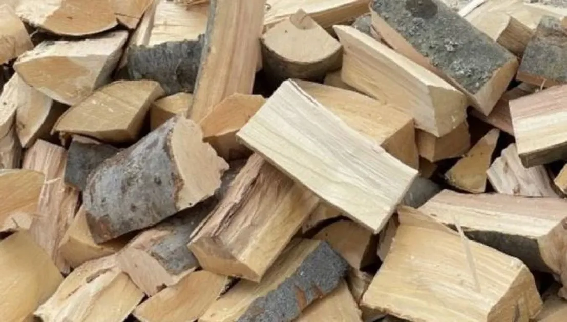 Полицаи преследваха бракониери, откриха  незаконна дървесина