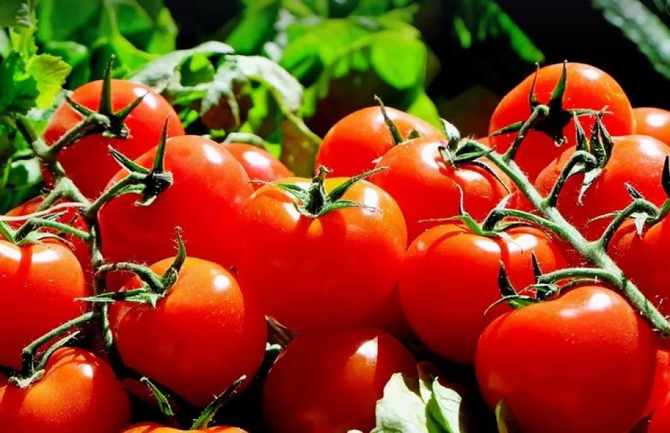 Поскъпват основни храни и плодове, поевтиняват зеленчуците