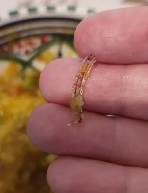 Майка твърди, че е открила парче стъкло в храна от детска кухня СНИМКИ