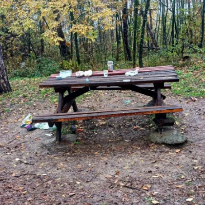 Снимка от замърсена пейка в района на парк Света гора