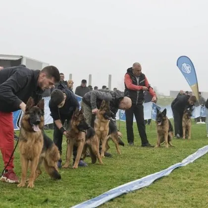 Над 100 участници от България и Сърбия се включиха в