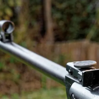 Разстрелват домашни кучета на разходка, стрелят от джипове