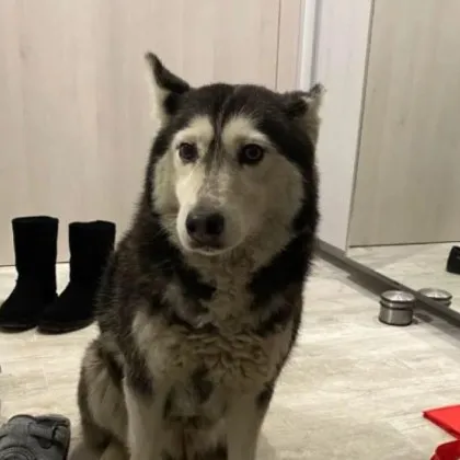 Вълна от възмущение и съпричастност заля социалните мрежи след ужасяващия