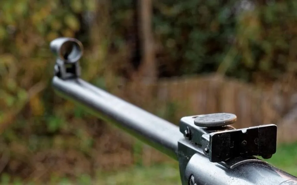 Разстрелват домашни кучета на разходка, стрелят от джипове