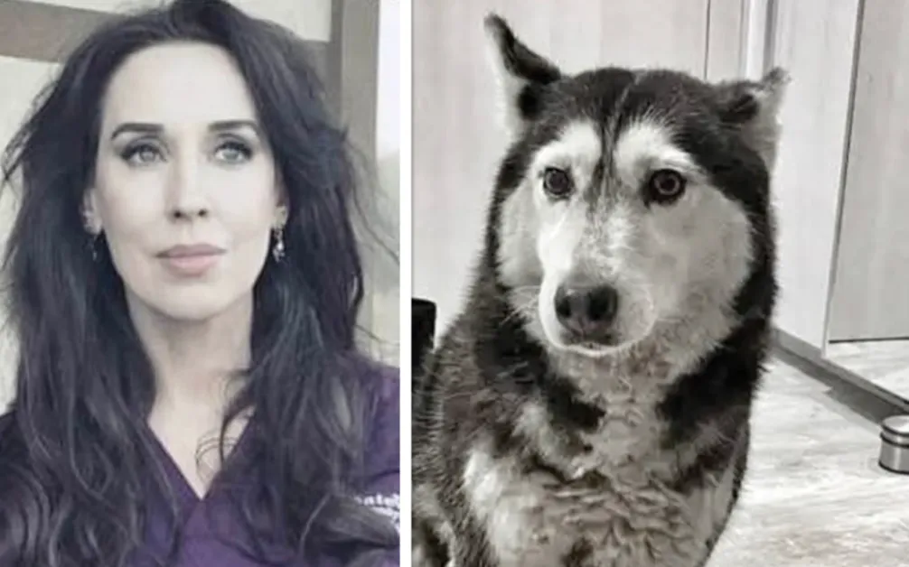 Д-р Щонова за прегазеното куче Мая: Сред нас се разхождат чудовища