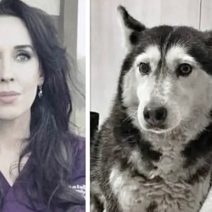 Случаят с прегазеното куче Мая в София продължава да предизвиква