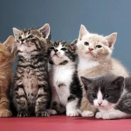 Мъж на 63 годишна възраст живеещ на малкия гръцки остров Донуса