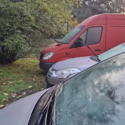 Жители на столичния квартал Борово сигнализираха за нов случай на