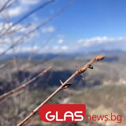 Слънчево време днес