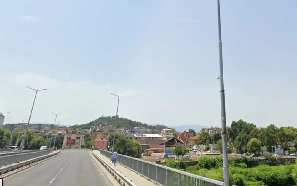 Пловдивчанка твърди, че жена опитала да хвърли кучето си от един от мостовете на Марица