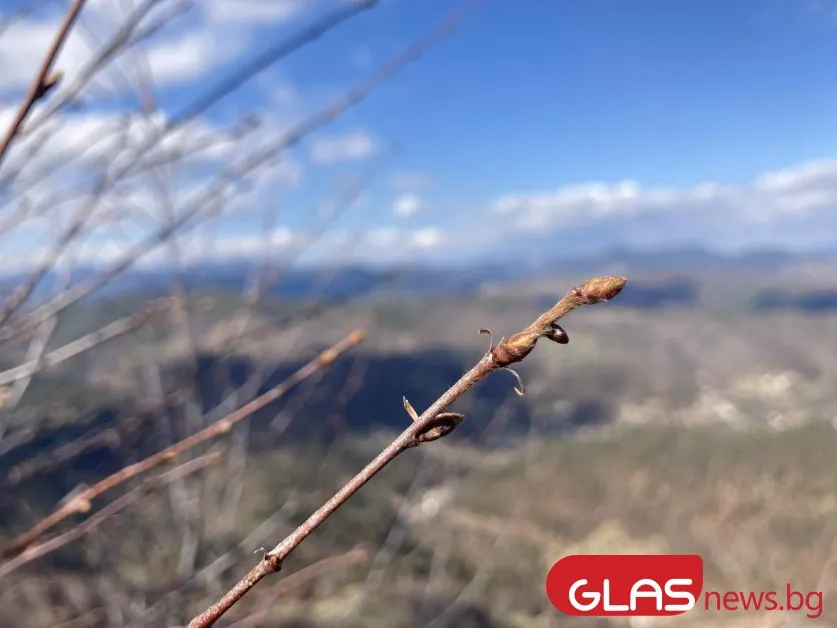 Слънчево време днес