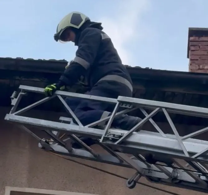 Плевенски огнеборци се отзоваха на необикновен сигнал ВИДЕО