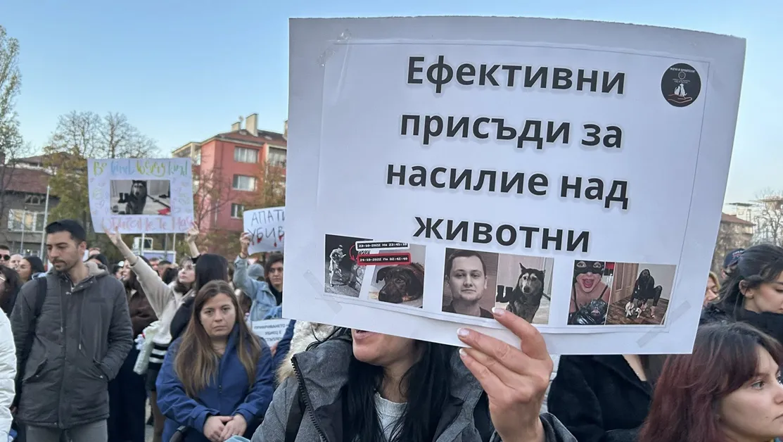 Протест пред ВМА заради кучето Мая СНИМКИ