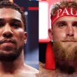 Грандиозен сблъсък: Джошуа и Джейк Пол се готвят за бой в тежка категория