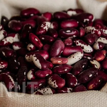 Терапевтът Амир Хан посочи боба като единствената храна която ви