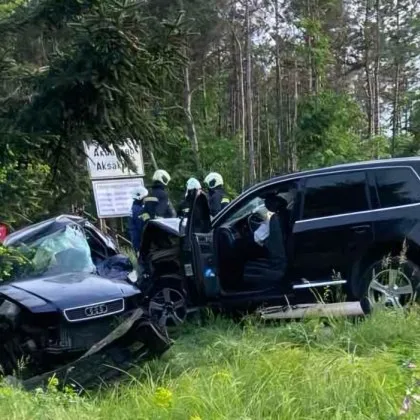 Диана Русинова от Европейския център за транспортни политики поднесе искрени