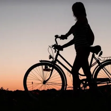 Френските власти са разбили мрежа за кражба на високотехнологични велосипеди