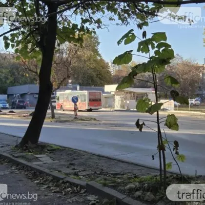 Втори затиснат от вратите на рейс за часове, този път... водачът не е пиян СНИМКА