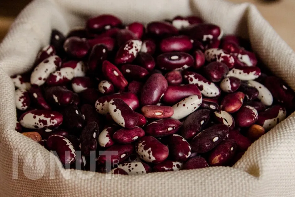 Откриха какво увеличава продължителността на живота с 15 процента