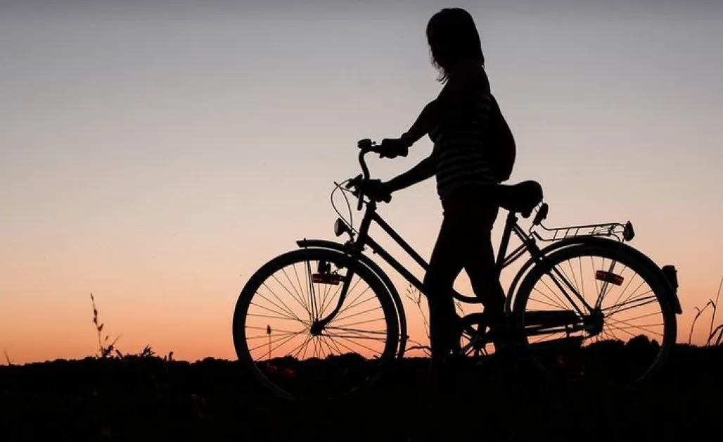 Схема за милион евро: Крадци задигнаха колела  с въдица