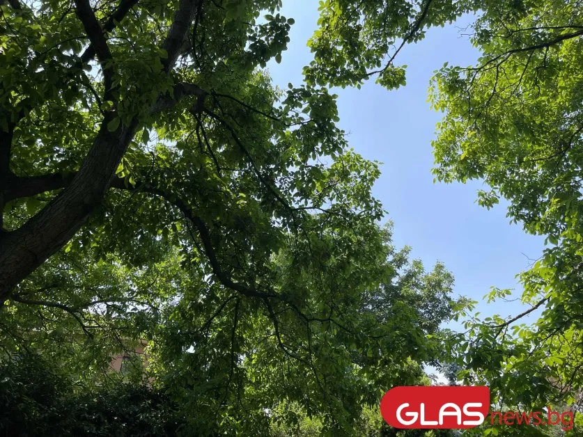 Слънчев и тих уикенд