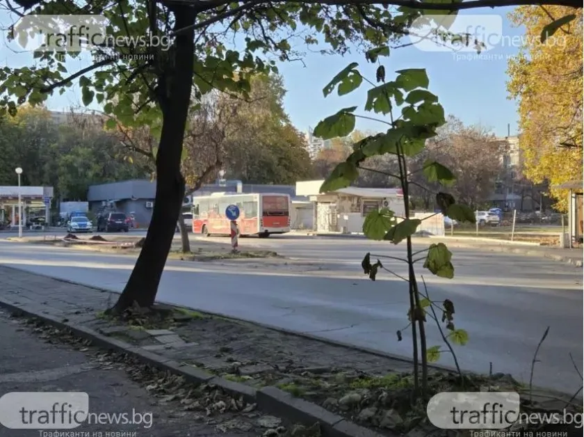 Втори затиснат от вратите на рейс за часове, този път... водачът не е пиян СНИМКА