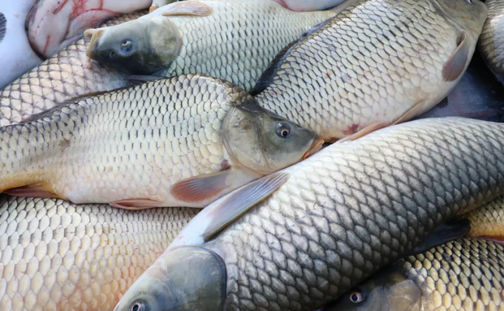 Започват засилени проверки за Никулден