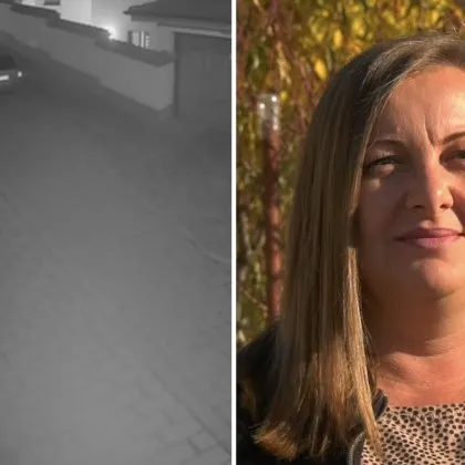 Мечка стресна жителите на северната част на Карлово след като