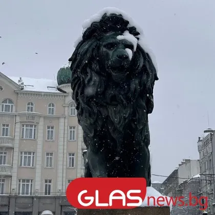 В забързаното ни ежедневие рядко намираме време да се огледаме