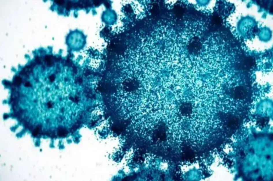 Откриха 9 случая на смъртоносния вирус Марбург, СЗО предупреди