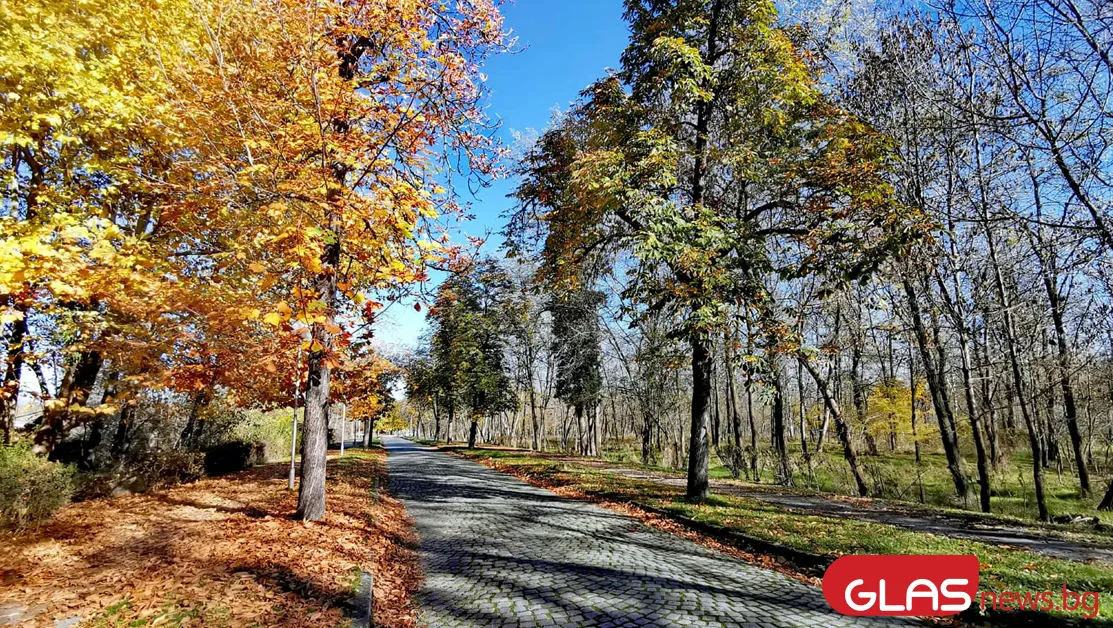 До 21° по Черноморието, а в Дунавската равнина - трайни мъгли