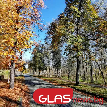 До 21° по Черноморието, а в Дунавската равнина - трайни мъгли