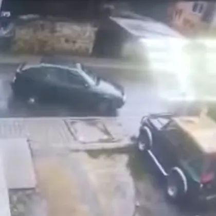 Пореден пример за жестокост над животни става публичен само дни след