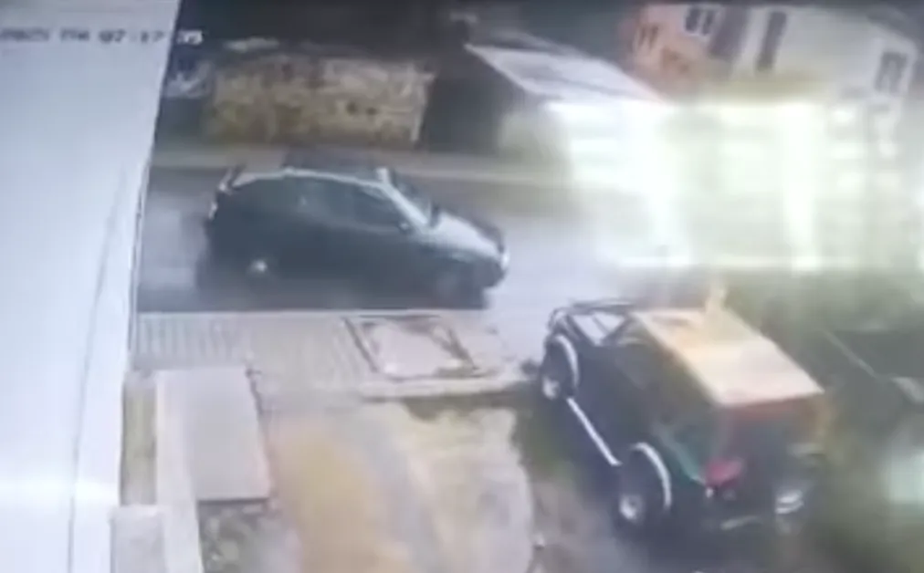 Умишлено прегазиха малко кученце в Якоруда ВИДЕА 18+