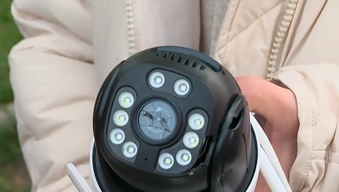 Тревога в столичен квартал, неизвестен стреля по дървета и котки