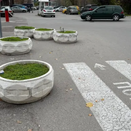 Бетонни саксии насред пътя в Асеновград предизвикаха недоумение СНИМКИ