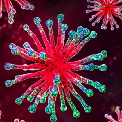 Потребител в мрежата предрекъл коронавируса още през 2013 година