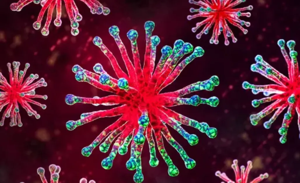 Потребител в мрежата предрекъл коронавируса още през 2013 година