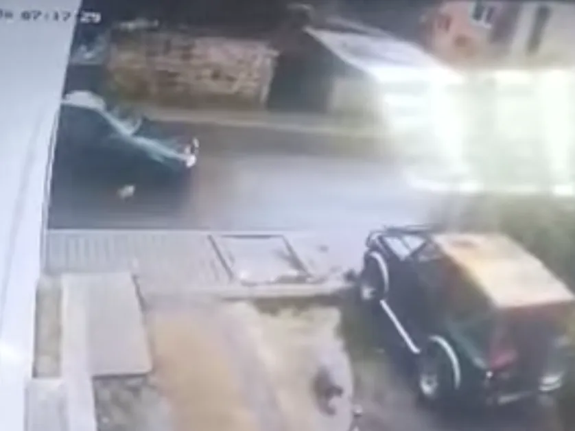 Прокуратурата подхваща шофьора, прегазил кученце в Якоруда