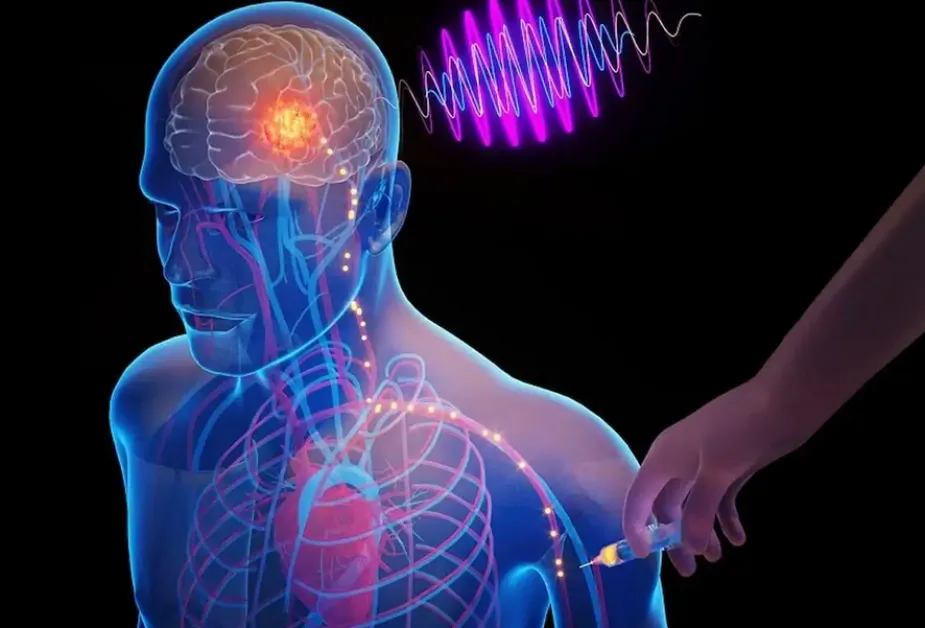 Технология на бъдещето: Мозъчни чипове могат да лекуват без хирургия